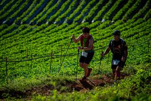 BIB: 
                            <button type="button" onclick="openModal(19160700)" class="btn btn-primary btn-sm float-right btn-popup" data-toggle="modal" data-target=".modal-high-quality">
                        <i class="fas fa-shopping-cart"></i> Add to Cart
                    </button>
                                            <button type="button" onclick="isThisMe(19160700, true)" class="btn btn-success btn-sm float-right btn-popup btn-isme hidden" data-toggle="tooltip" data-placement="bottom" title="นี่คือรูปของคุณใช่ไหม คลิกที่นี่เพื่อเอาเข้าอัลบั้ม">
                        <i class="fas fa-plus"></i> Add to album
                    </button>
                    <button type="button" onclick="isThisMe(19160700, false)" class="btn btn-warning btn-sm float-right btn-popup btn-isnotme hidden">
                        <i class="fas fa-ban"></i> Remove from album
                    </button>